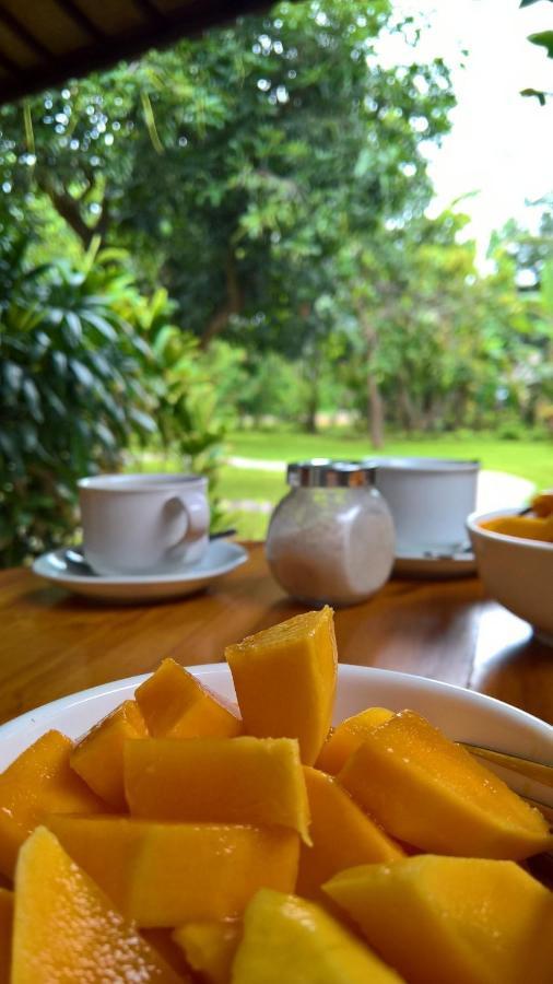 Mango Tree Inn Pemuteran  Luaran gambar